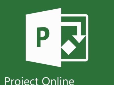 67e55f72f21f6_Project-Online-Profesional